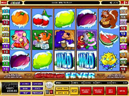 Cabin Fever Video Slot